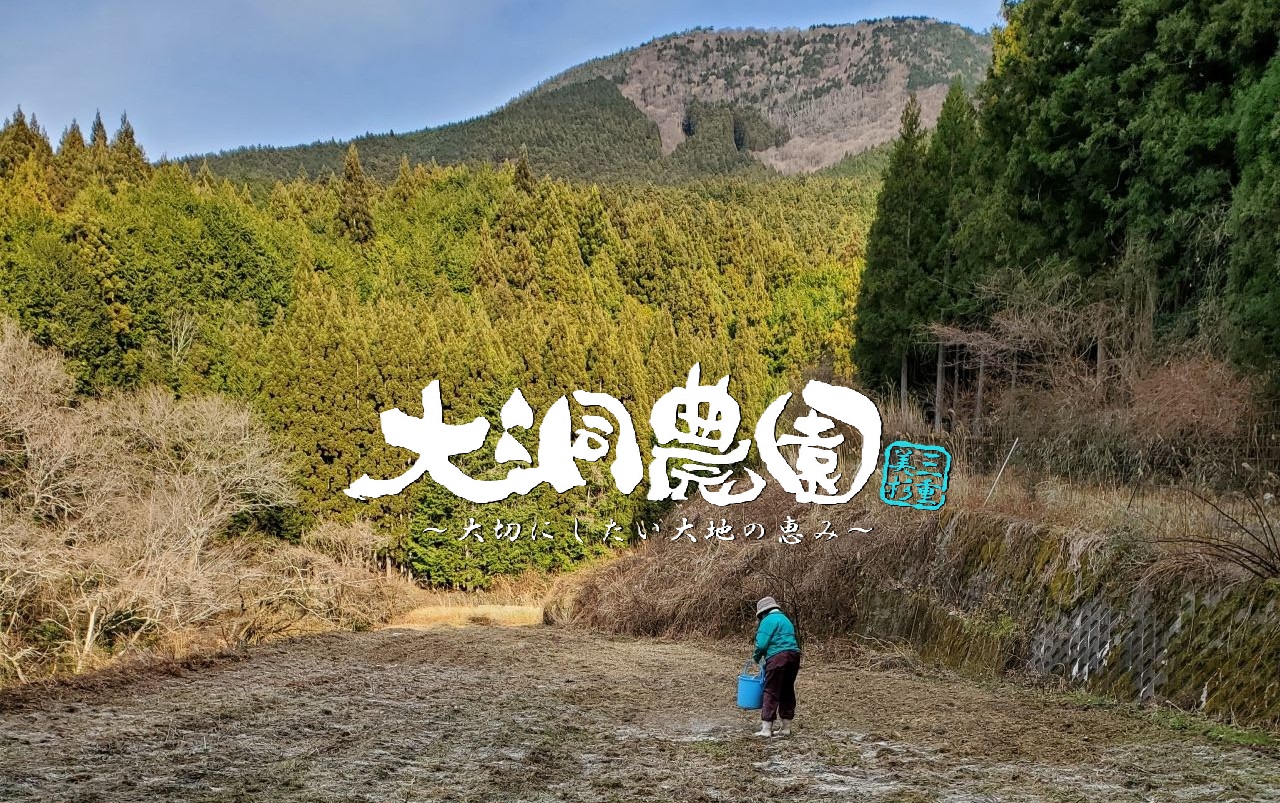 よもぎ 通販 お取り寄せ｜農薬・化学肥料不使用｜三重県産の新鮮よもぎ