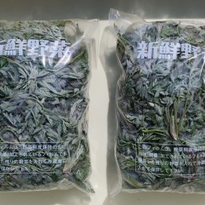 生よもぎ（生鮮よもぎ）若芽を手摘みした新鮮な生葉　通販で発送